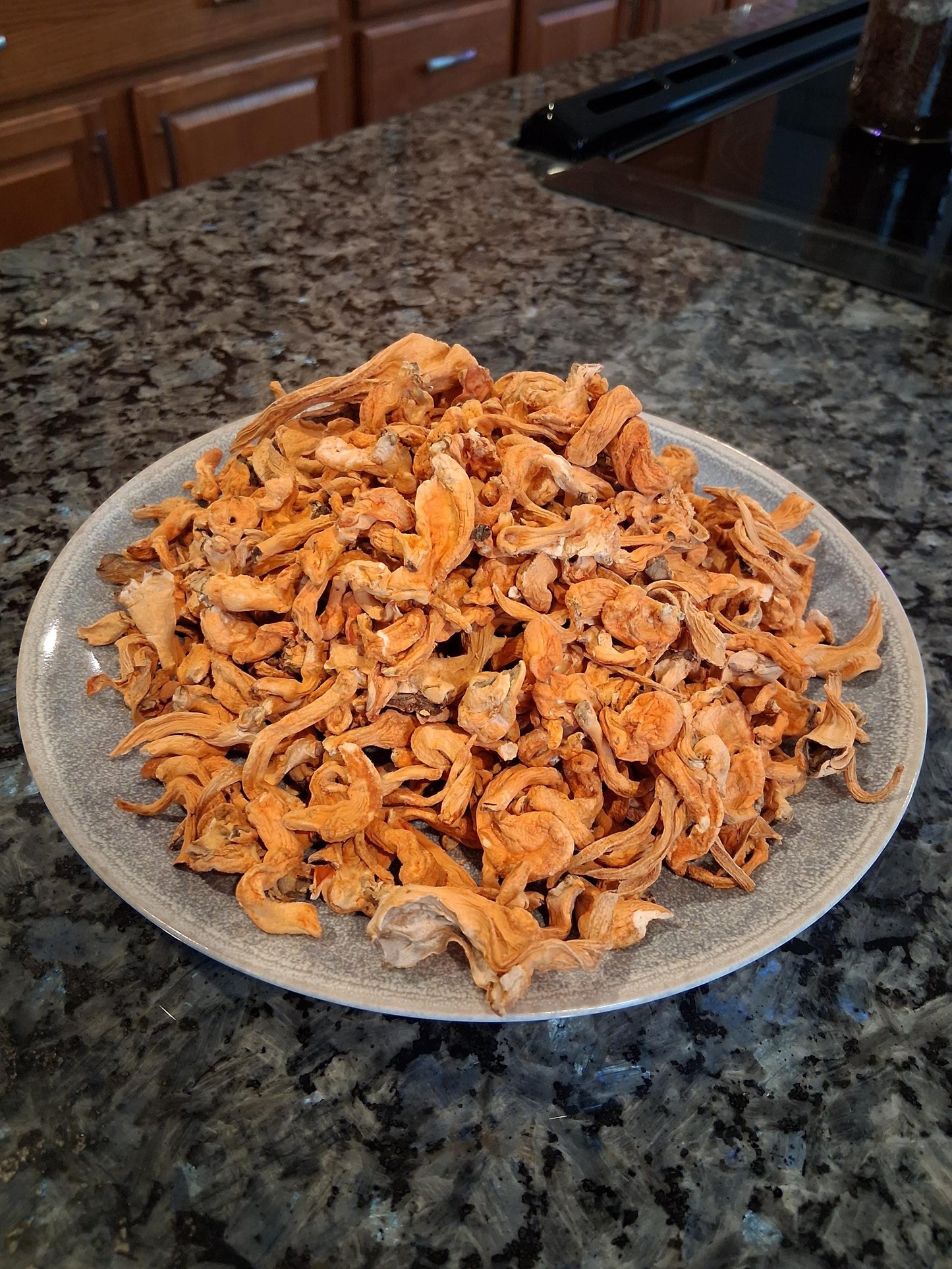 1 oz Dried Cordyceps Militaris Mushrooms