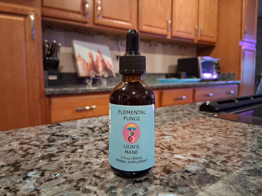 2 oz. Lion's Mane Mushroom Tincture