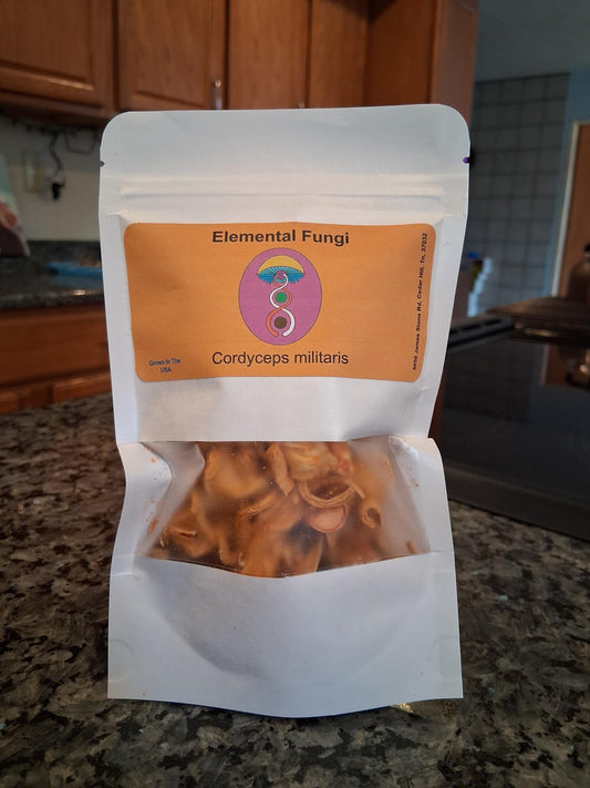 1 oz Dried Cordyceps Militaris Mushrooms