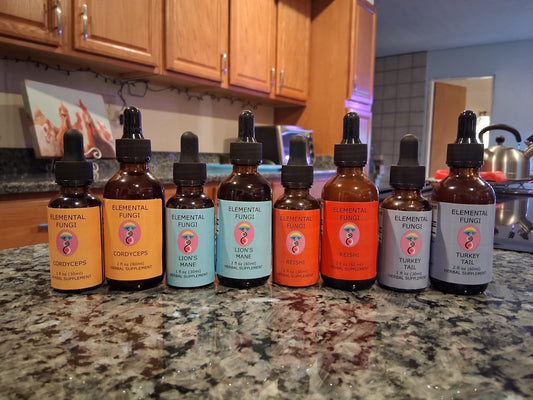 1 oz Lion's Mane Mushroom Tincture