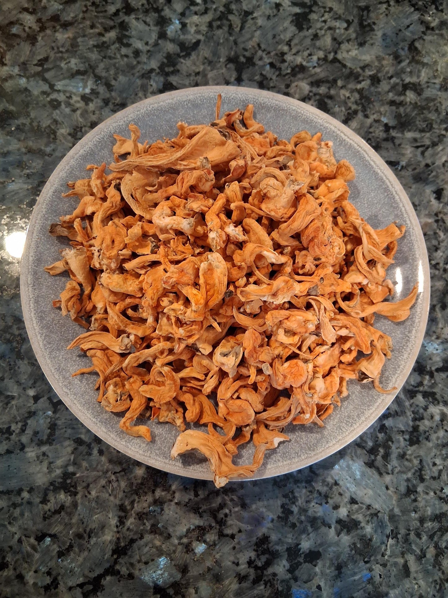 1 oz Dried Cordyceps Militaris Mushrooms