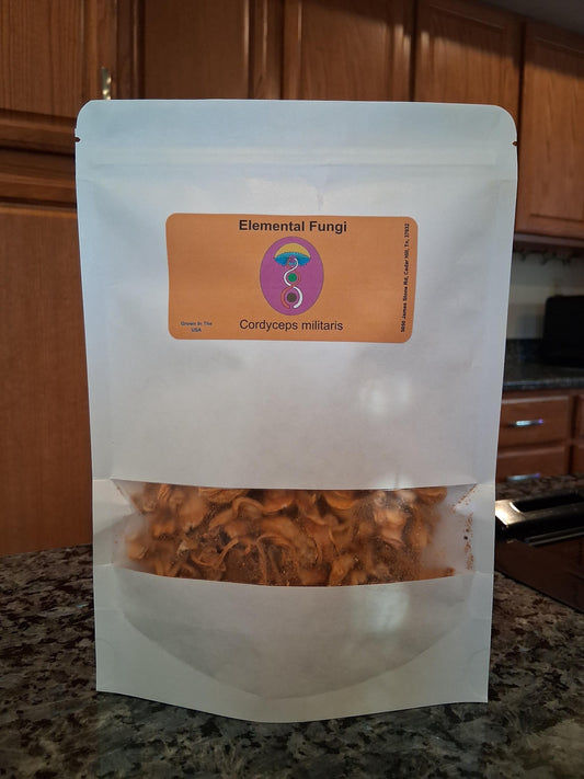 2 oz Dried Cordyceps Militaris Mushrooms